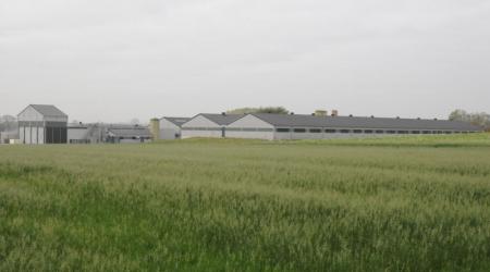 landbouwloodsen en stallenbouw